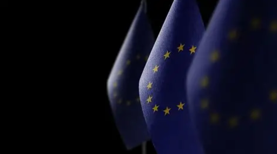 RESILIENZA DEMOCRATICA IN TEMPI DI INGERENZE STRANIERE, DISINFORMAZIONE, MANIPOLAZIONE DELLE INFORMAZIONI E ATTACCHI IBRIDI: AFFRONTARE LE COMPLESSITÀ NEL QUADRO EUROPEO